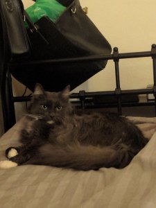 IMG_20170114_212227.jpg