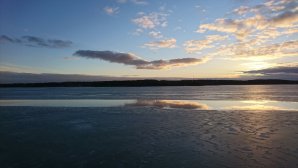 DSC_0183.JPG
