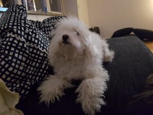 20170304_191722.jpg