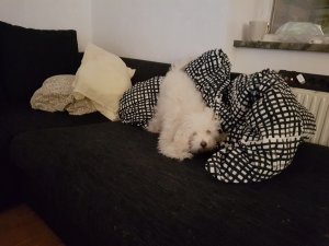 20170304_192327.jpg