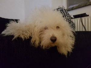 20170304_192338.jpg