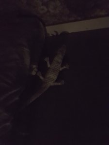 20170315_191436.jpg