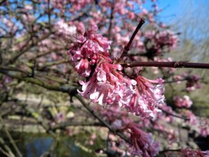 IMG_20170324_133052378.jpg