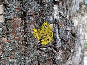 IMG_20170324_133224472.jpg