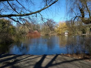 IMG_20170324_133640489.jpg