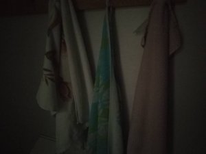 IMG_20170324_102433_HHT.jpg