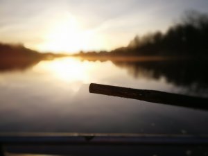 IMG_20170408_063732.jpg