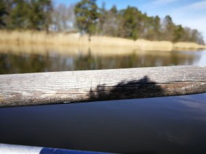 IMG_20170407_131612.jpg