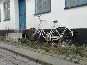 IMG_20170325_144103.jpg