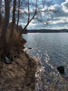 IMG_20170415_100700755_HDR.jpg
