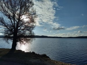 IMG_20170416_074710785_HDR.jpg