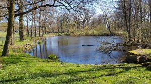 20170422_100757.jpg