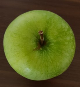 20170423_113207.jpg