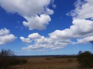 20170423_131158.jpg