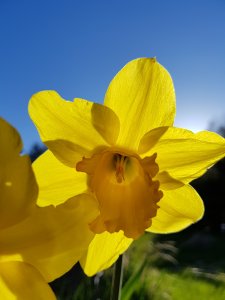 20170423_184022.jpg