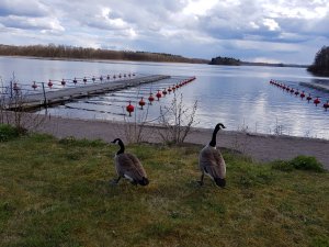 20170426_161032.jpg