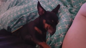 20170428_014729.jpg