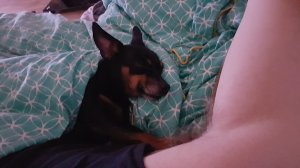 20170428_022435.jpg