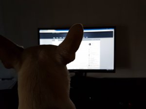 20170429_075731.jpg