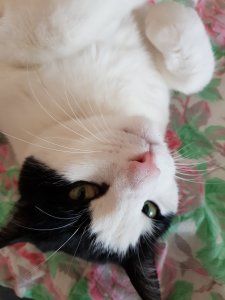 20170429_111319.jpg