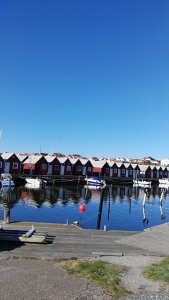 IMG_20170430_094604.jpg