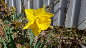 20170501_111209.jpg