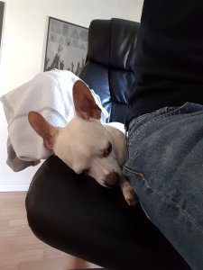 20170502_163553.jpg