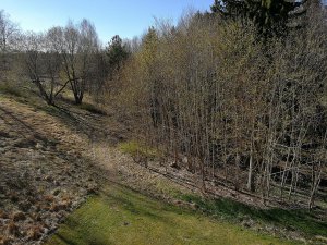 IMG_20170503_160742.jpg