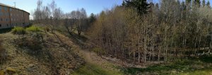 IMG_20170503_163113.jpg