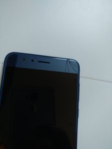 IMG_20170513_084536.jpg