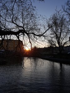 20170430_201514.jpg