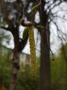 20170515_121258.jpg