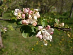 IMG_20170519_095616.jpg