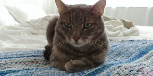 20170520_155014.jpg