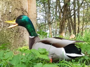 20170520_225844.jpg
