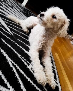 PSX_20170515_103920.jpg