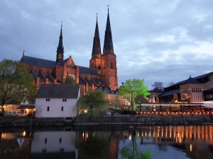 20170516_220035.jpg