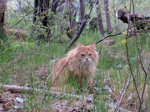 IMG_20170520_145428.jpg