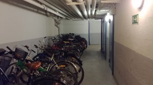 20170522_150553.jpg