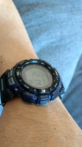 IMG_20170523_121316912.jpg