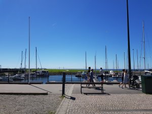 20170526_144213.jpg
