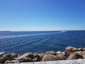 20170526_152654.jpg