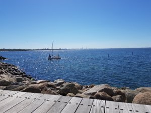 20170526_153135.jpg