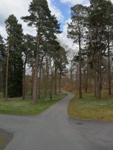 IMG_20170430_161335.jpg