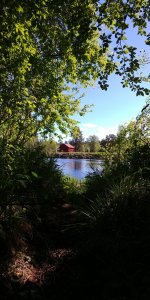 20170602_101117_HDR.jpg