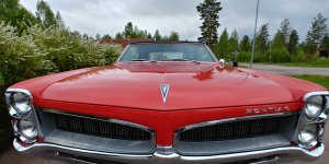 20170604_133250_HDR.jpg