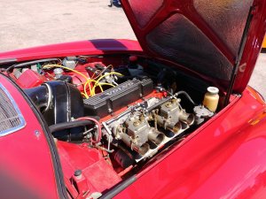 20170606_125831.jpg