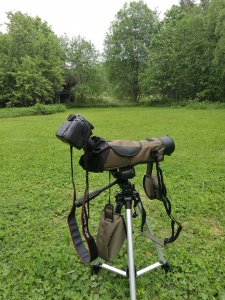 IMG_20170607_142030.jpg