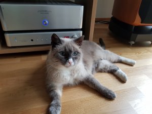20170611_103418.jpg