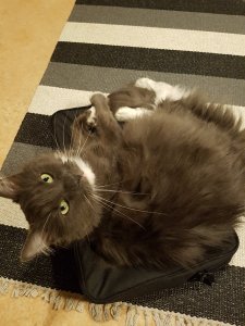 20170611_112900.jpg